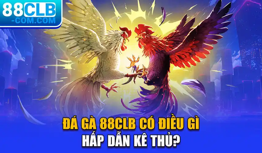 Đá Gà 88CLB Có Điều Gì Hấp Dẫn Kê Thủ?