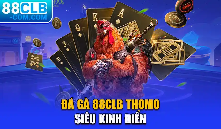 Đá gà 88clb Thomo siêu kinh điển